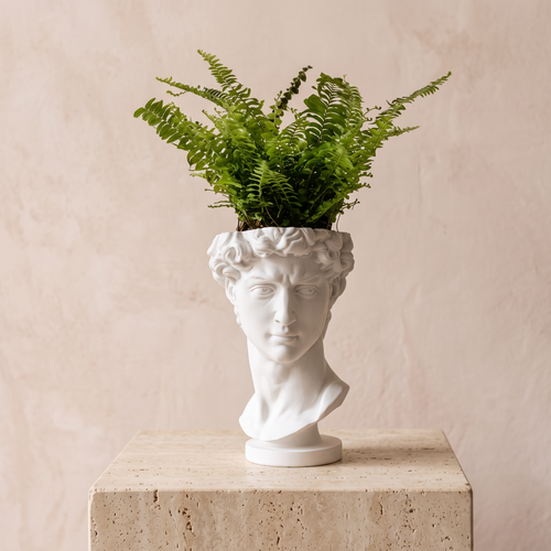 White David bust planter with a fern on a travertine plinth